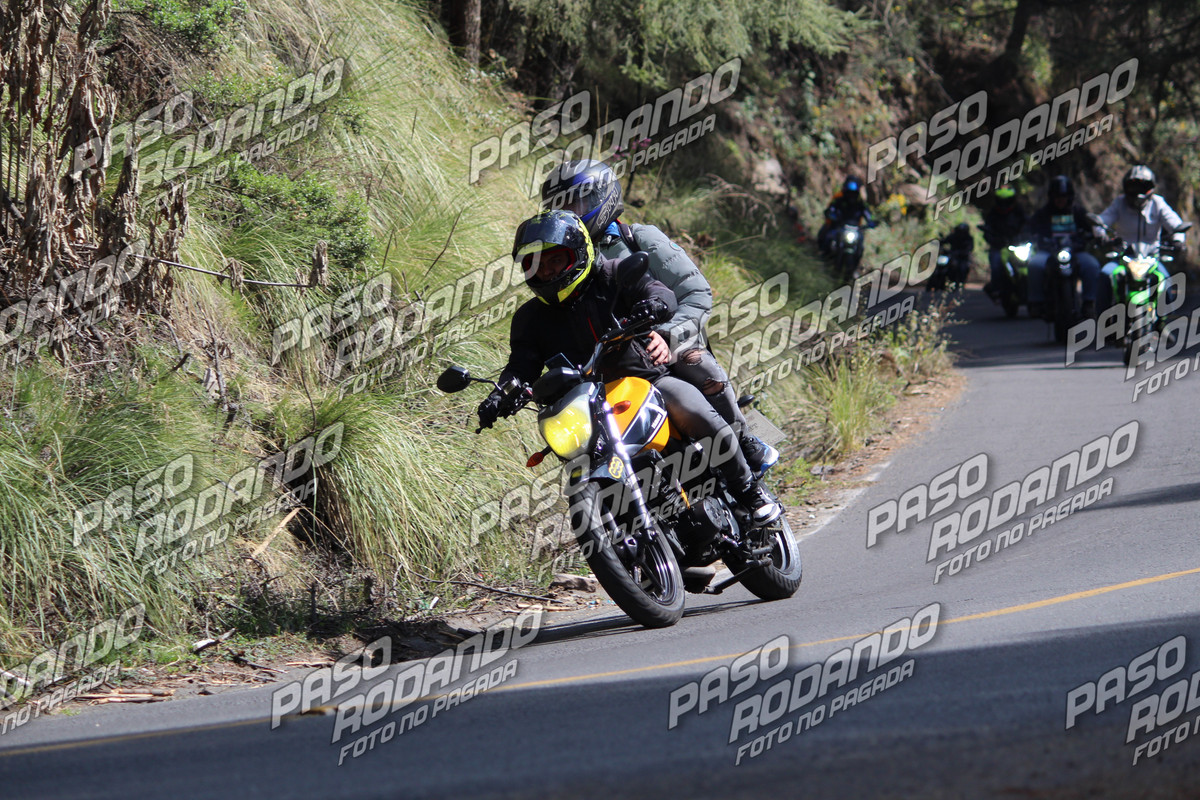 IMG 2271 wm 349426 watermarked — Postimages