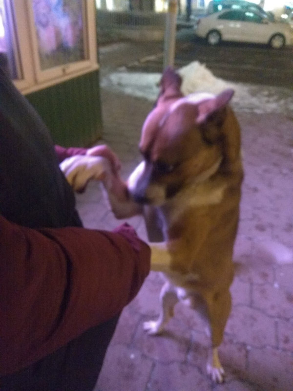 357436FB-7037-4BFC-BE7E-BF7F901E9E90