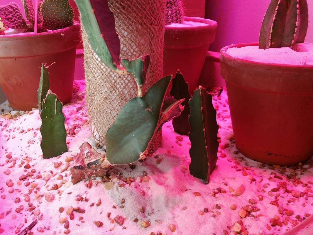 20150403_174957