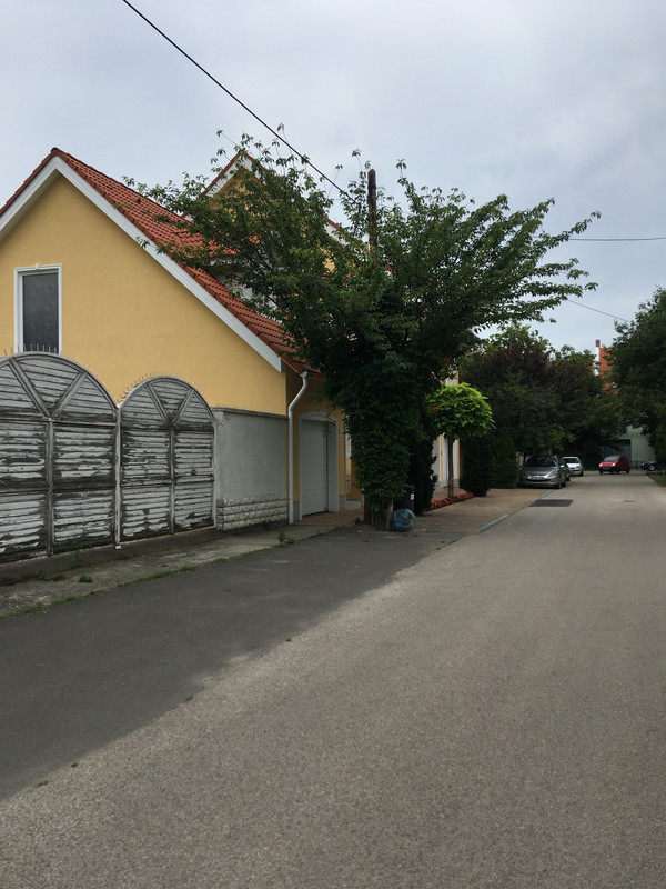 Kép
