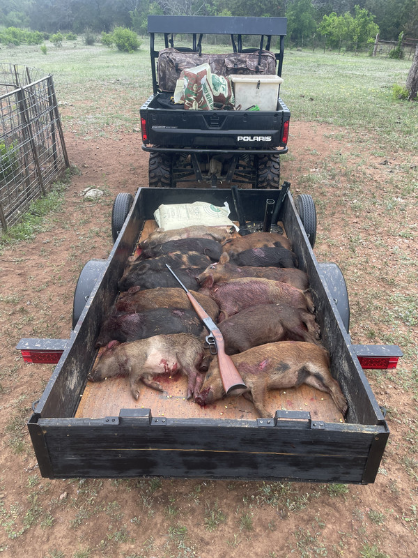 80D76139-24BD-4D79-881F-4C212B4C7E3D