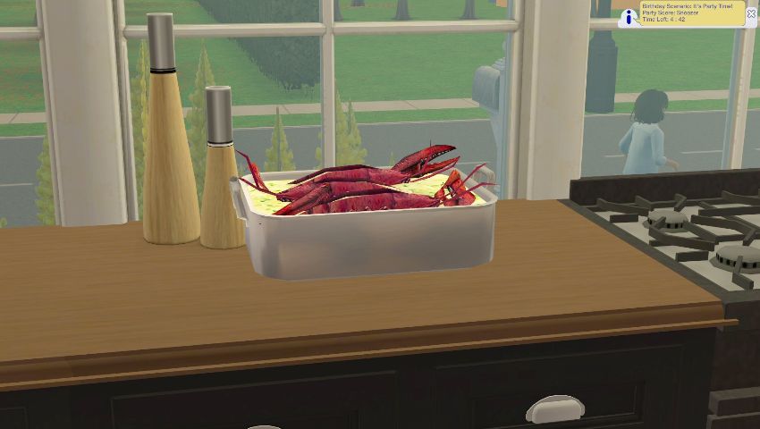 Sims2-EP9-2021-02-20-16-18-01-49