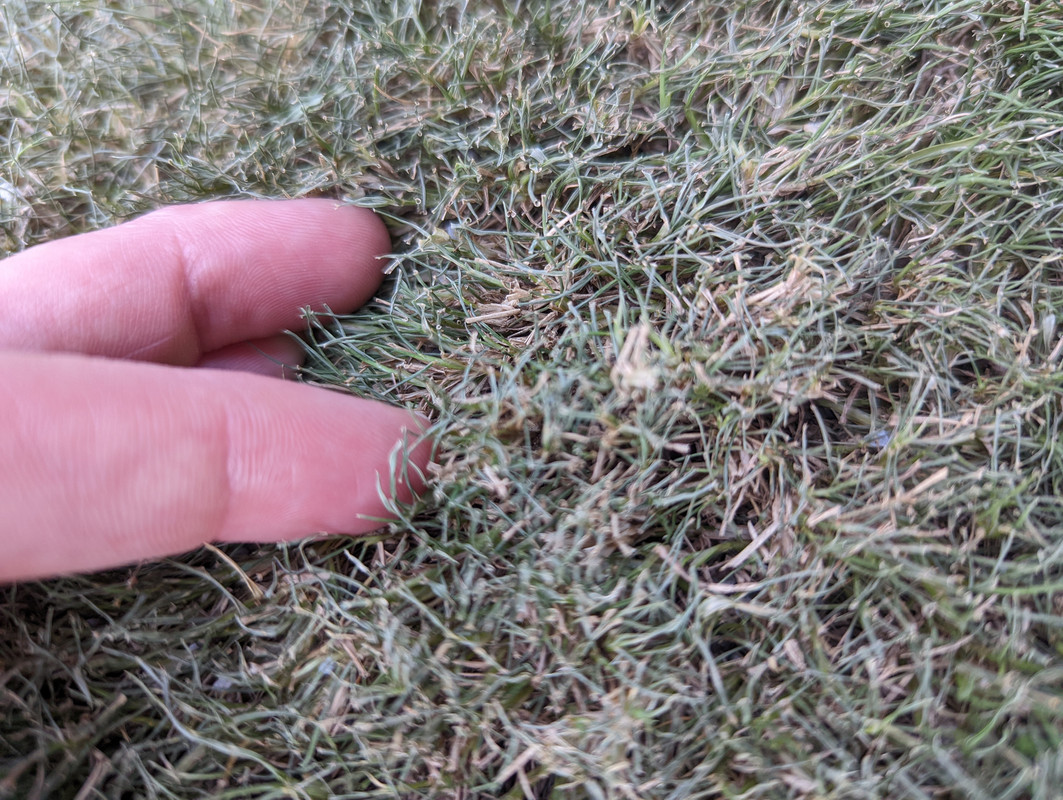 PXL_20220519_232453302