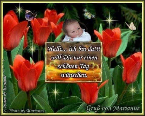An den Beitrag angehängtes Bild: https://i.postimg.cc/kgkGgd4k/87-Hallo.jpg