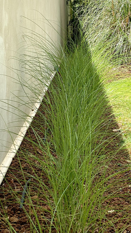 293D31E5-8AAC-4228-AA27-527E62D4B036