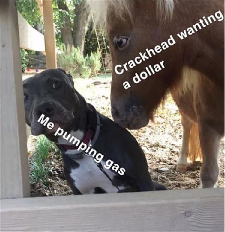 gimme_a_dolla.jpg