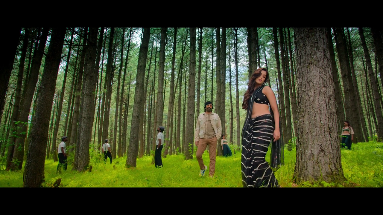 vlcsnap-2024-09-12-17h46m45s171