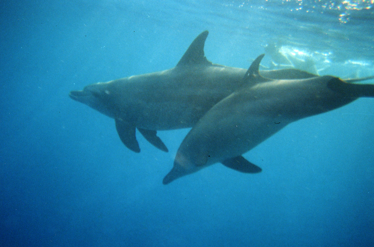 ХИЛТОН ЕГИПЕТ (16)