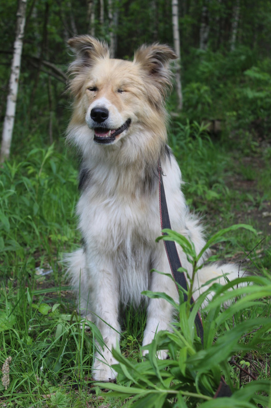 0h-wa4MrN7IehZbTUlOPDSNIkBYB7G3Hy-derbzmVv2pPiU89LsevmhBUMGznKi0gtxA0G5V1M0eKN8j6QM5oCOj