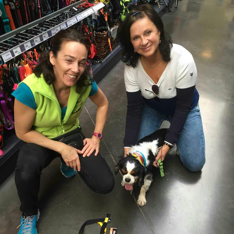 8B03EEC0-6BC9-448E-9A36-FE3000989DF8