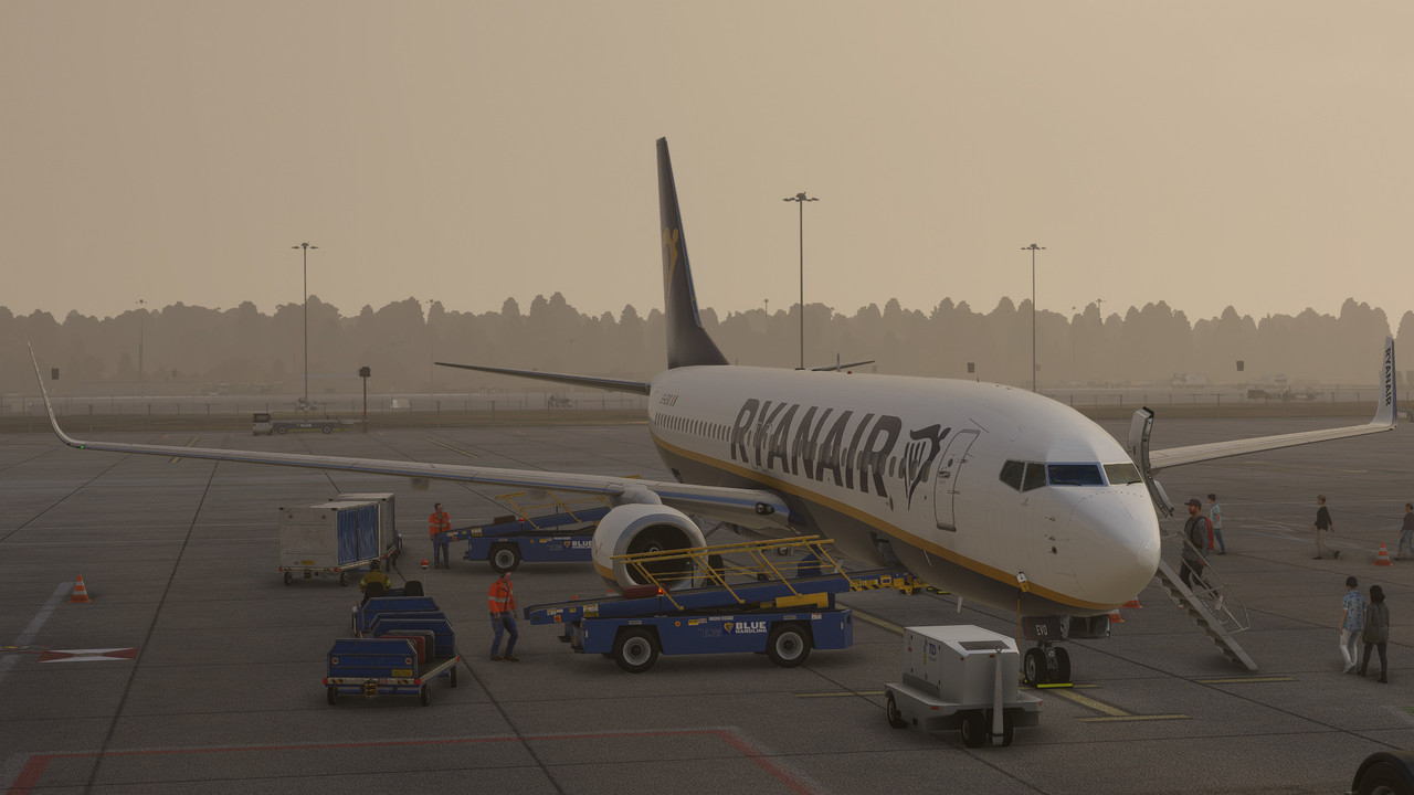 34116-png.jpg
