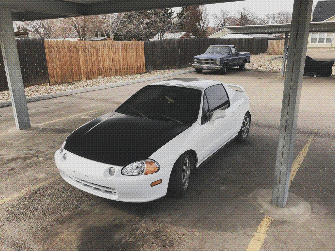 White Delsol
