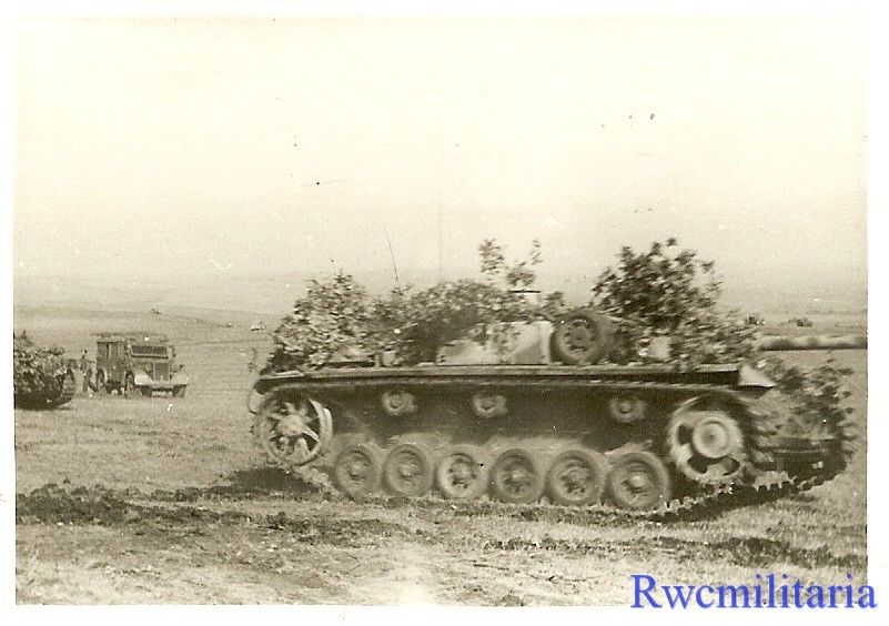 German Camo Painted Sturmgeschütz Panzer Tank w 