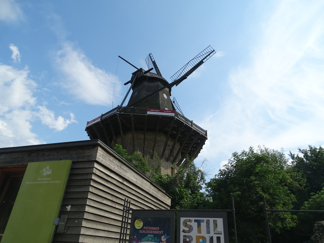DSC00448.jpg