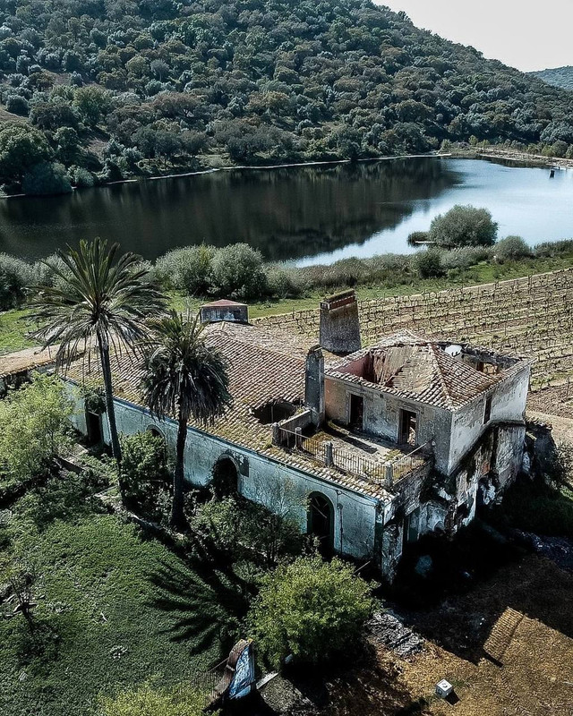 [Изображение: photo-2026-01-20-05-51-16.jpg]