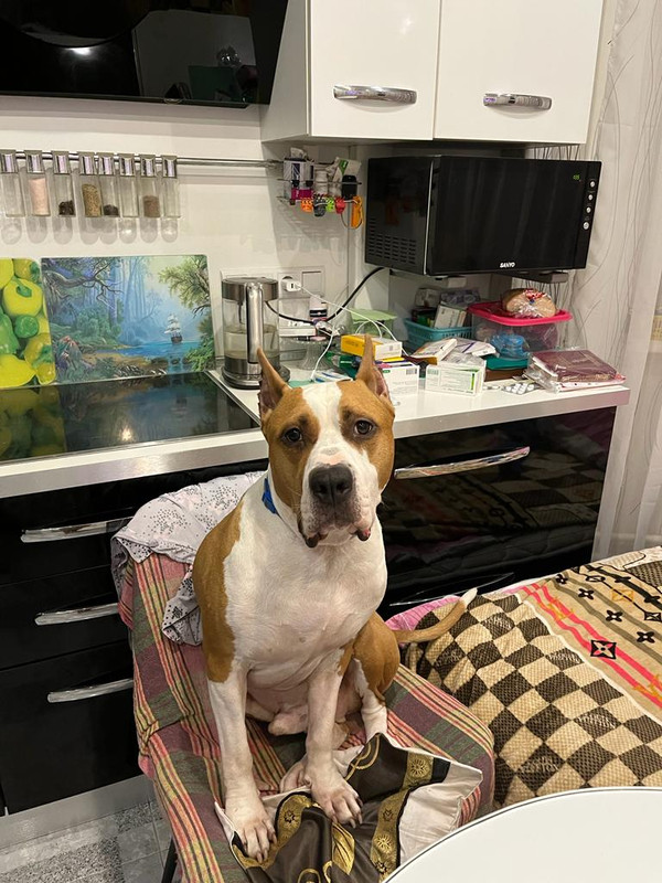 03C2B53D-F397-4097-A139-ADD75D0E4431