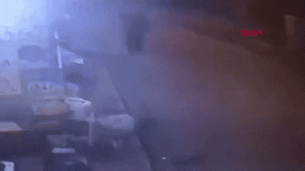 daily-gifdump-3378-12.gif
