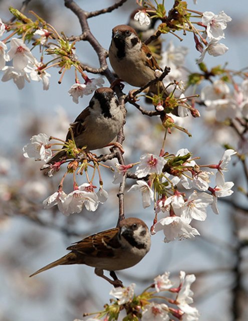 [Image: B1-CC78-B5-B3-FB-476-A-B295-CC8603255-BC9.jpg]