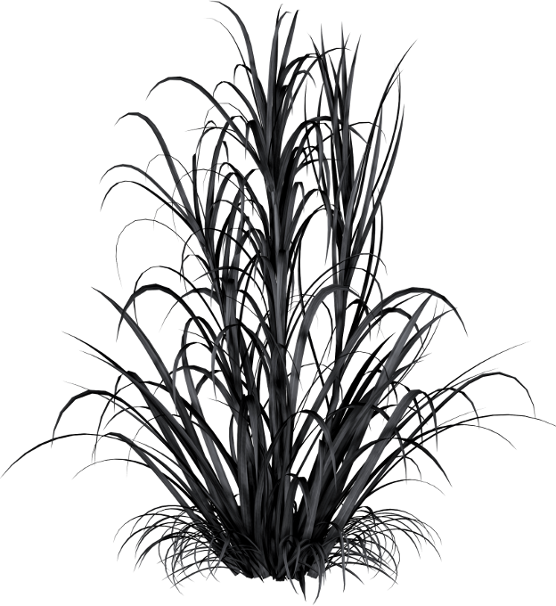 Autumn Witchery (141)