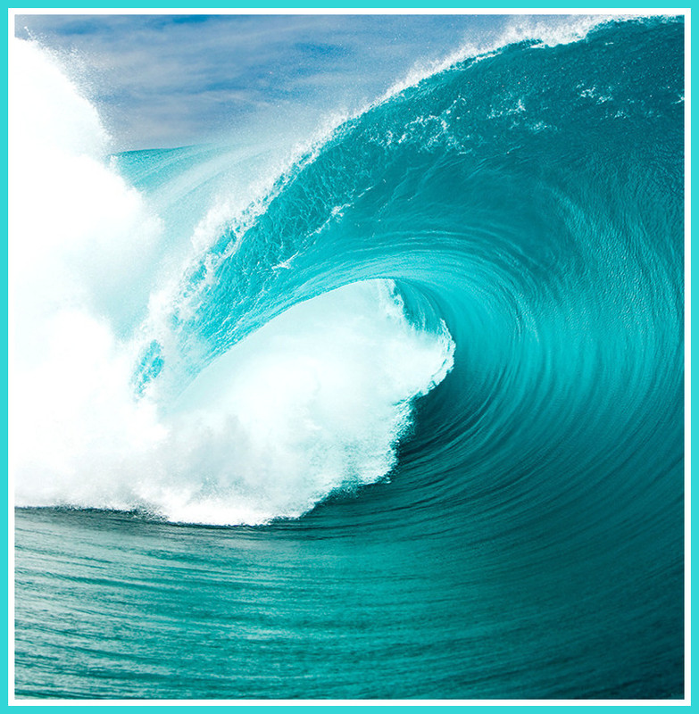 C4F477F7-FCBB-447B-B3A1-29C8343FCE6D