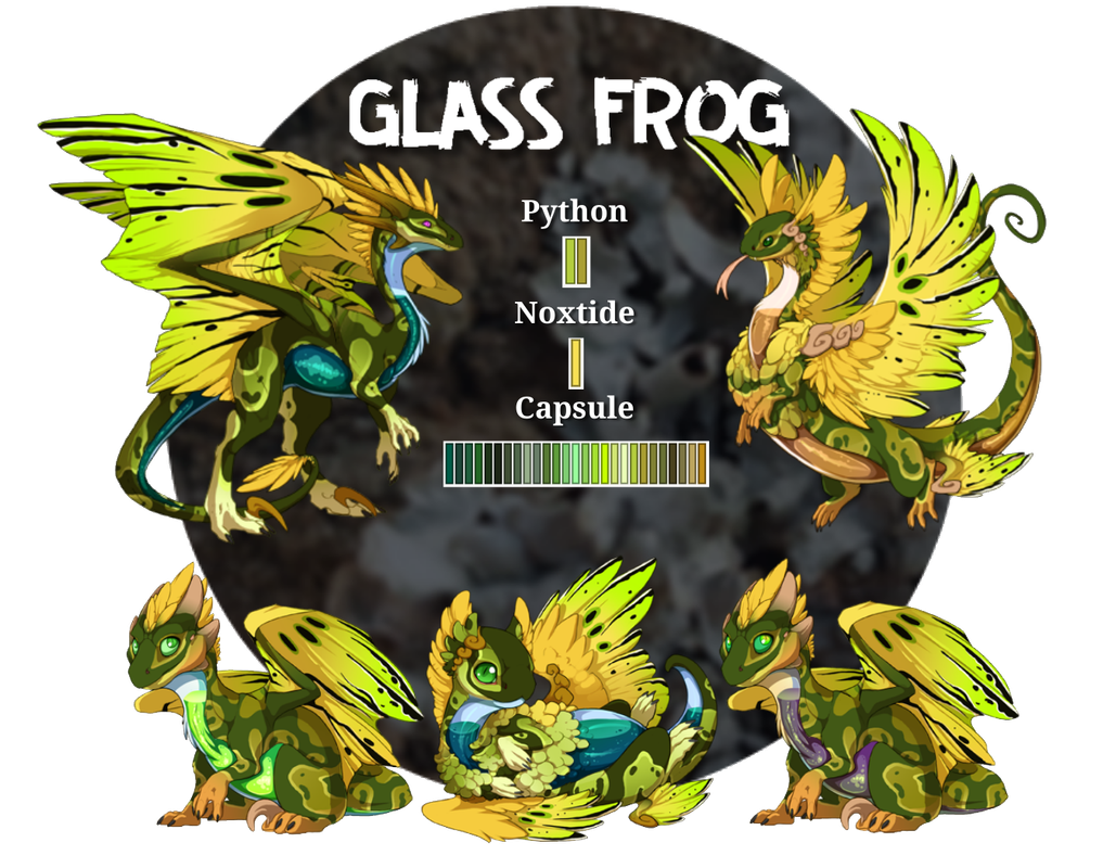 FR-Glass-Frog-PNG.png