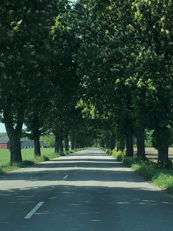 61657418_837838566572829_5370555964527214592_n