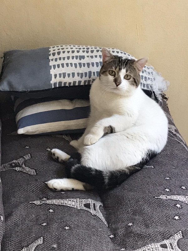 50C416CB-D9FF-458A-BE18-ADD893E80D93