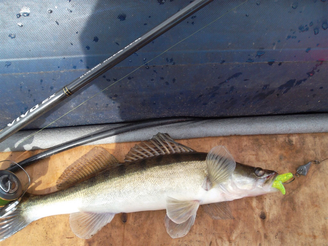 1,5 джиг спиннинг судак щука мастер-класс Куляпин Андрей катушка приманка