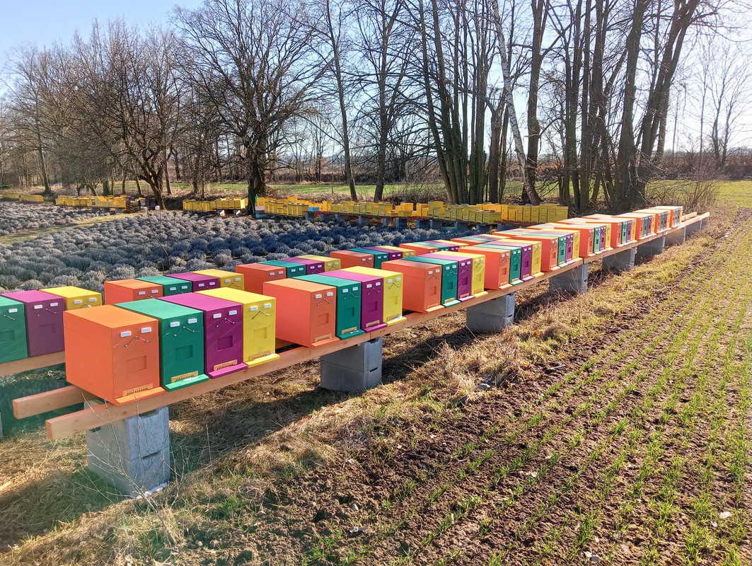 Obrázek WhatsApp, 2025-03-18 v 18.01.22_13de8d84