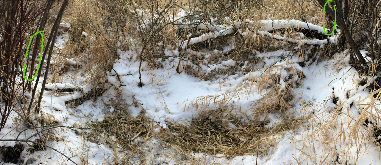 D2EFF71A-0EC0-4F28-A7CE-9447F24EB8F8