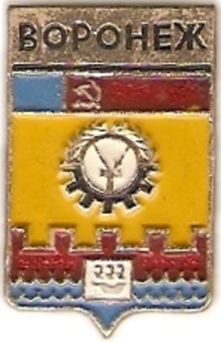 019 2-1 Воронеж