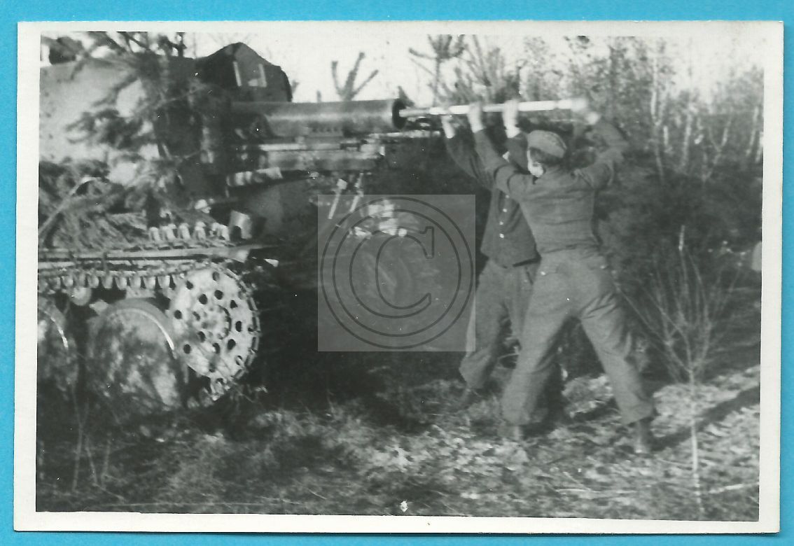 Panzer, Tank Panzerjäger Grille , Tarnfarben Sd.