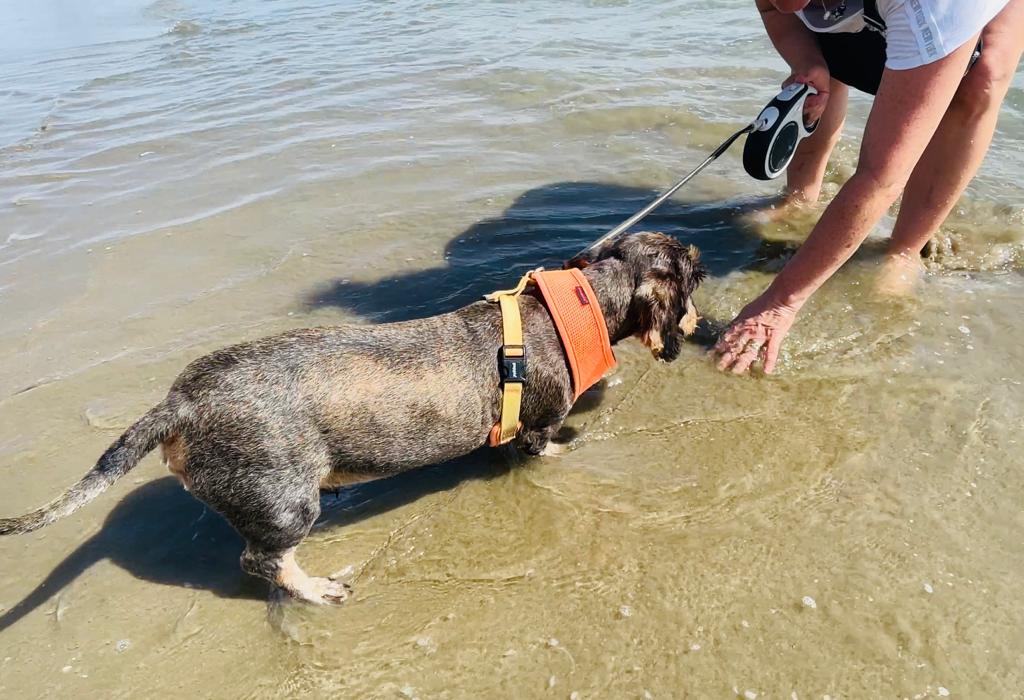 [Image: 6761fc51-9f0c-4426-bf2c-ba6f0266c7c3.jpg]