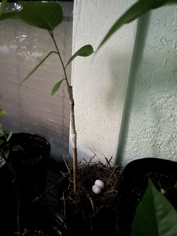 5C4560DF-CB8D-4EB3-8770-67253891E13A