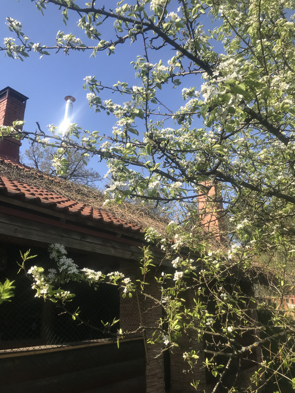 87A926B3-C6E9-405C-ACA7-BE0ECD80CF74