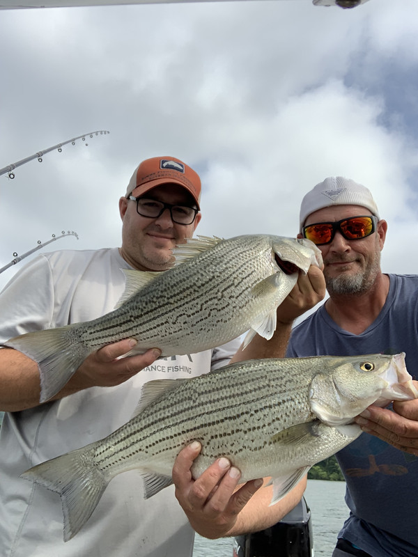 DA4F6E8A-CEF0-4EF9-86E5-FE3712BD5857