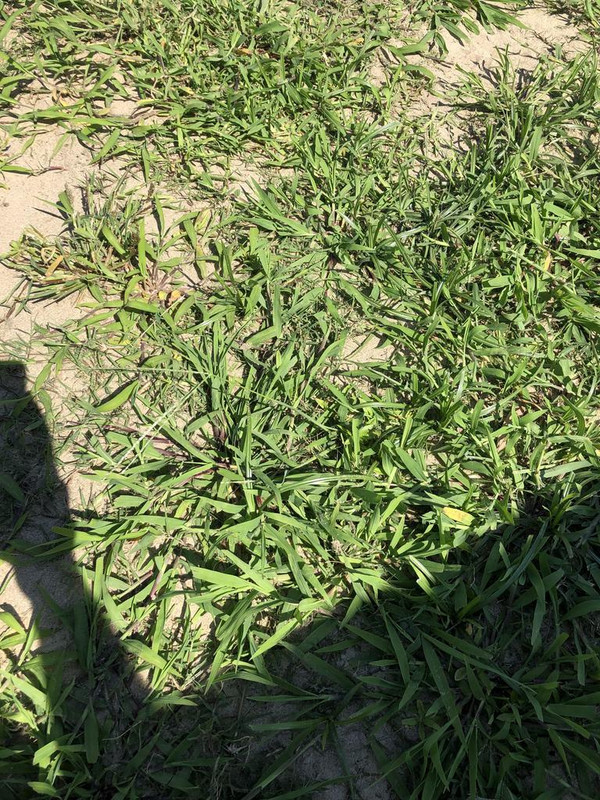 F8B8E7AE-99CC-49F4-B8E2-DD0039B8AFCA