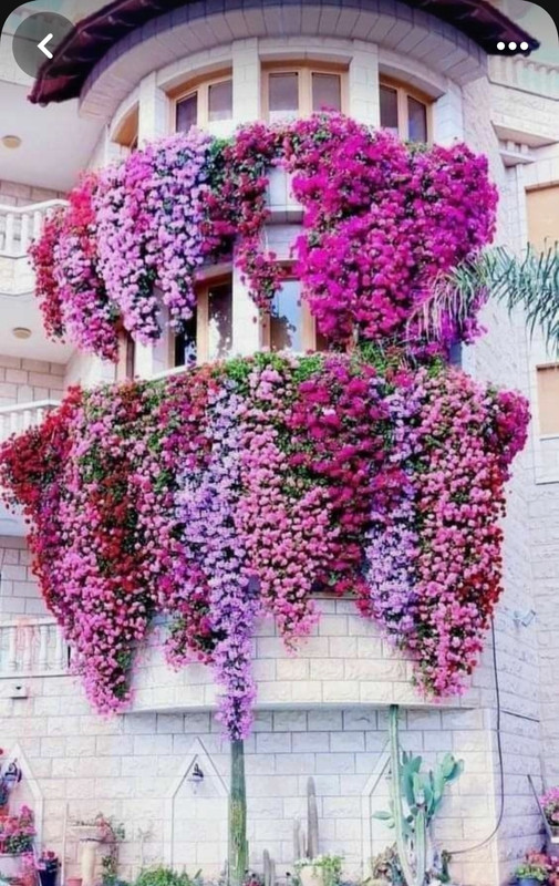 Screenshot_20230904_233918_Pinterest