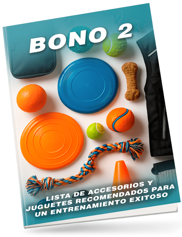 Bono 2