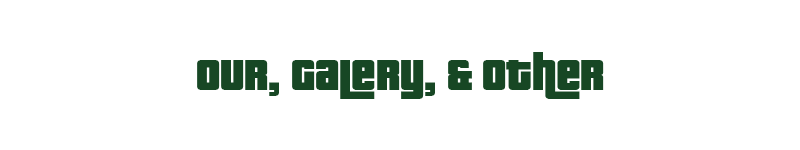OUR-GALERY-OTHER.png