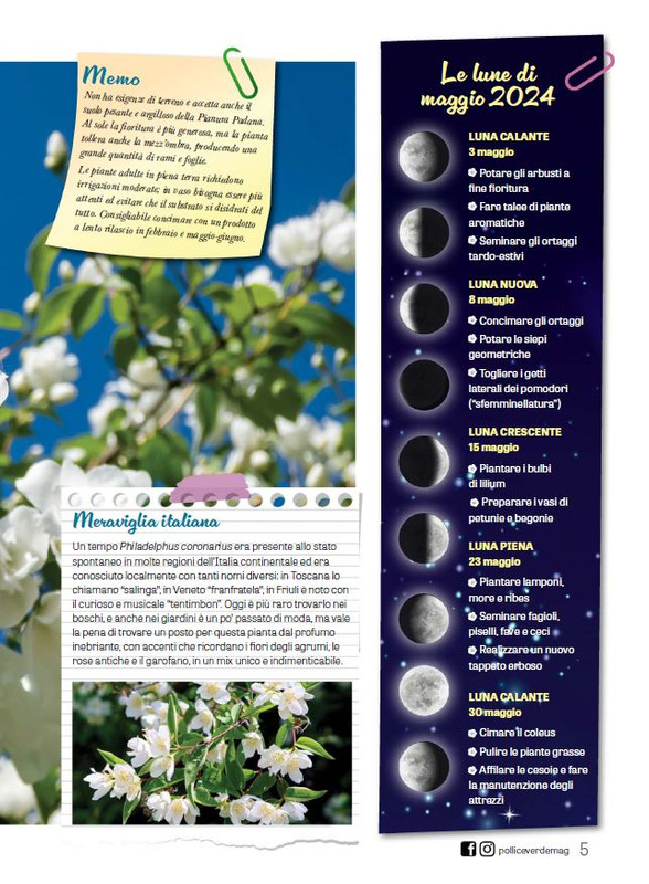 Pol Ver Mag 2024 (2)