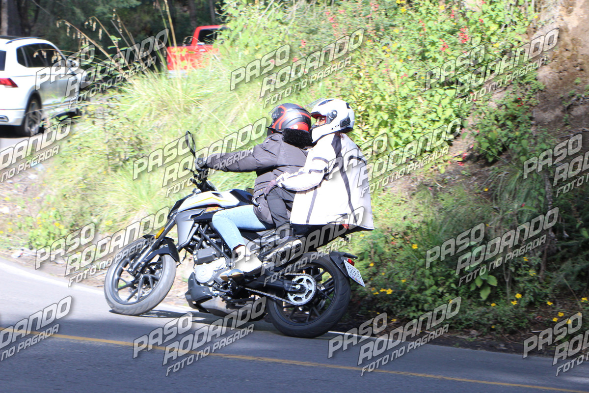 IMG 2765 wm 2942419 8 watermarked — Postimages