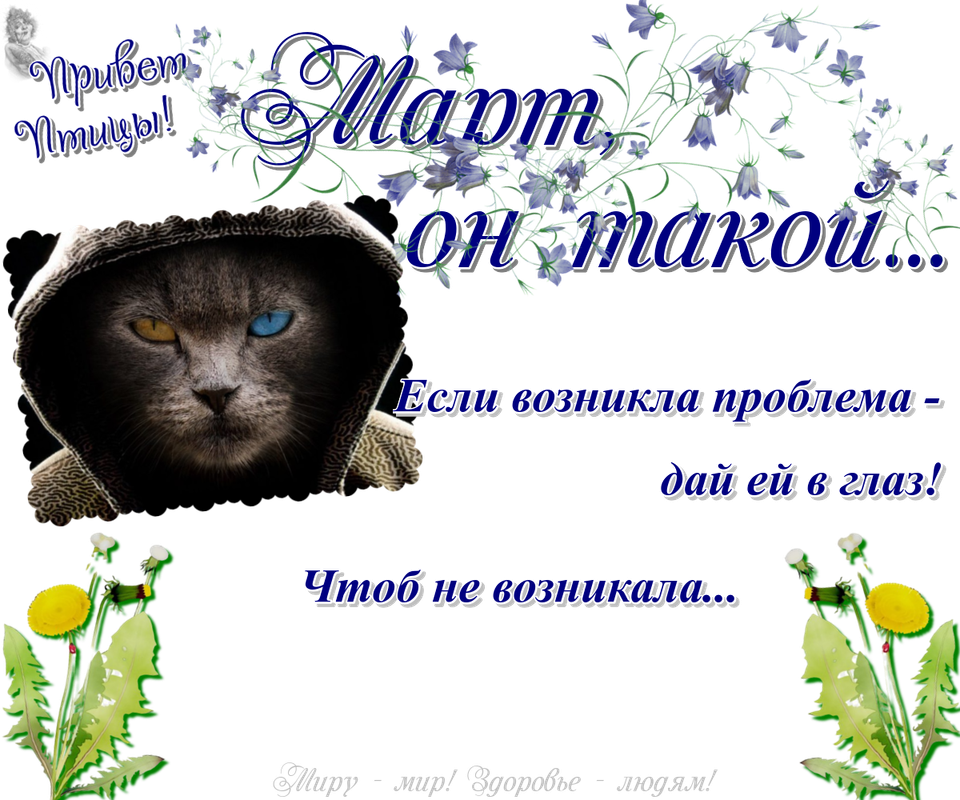 https://i.postimg.cc/kgqM6PDm/21-03.png