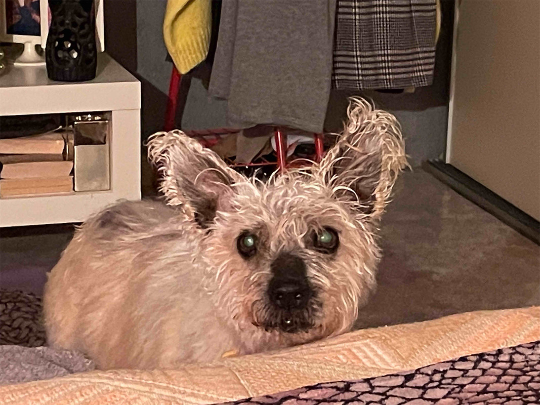 B772D184-E857-4B6E-82B5-FE396C8938DD