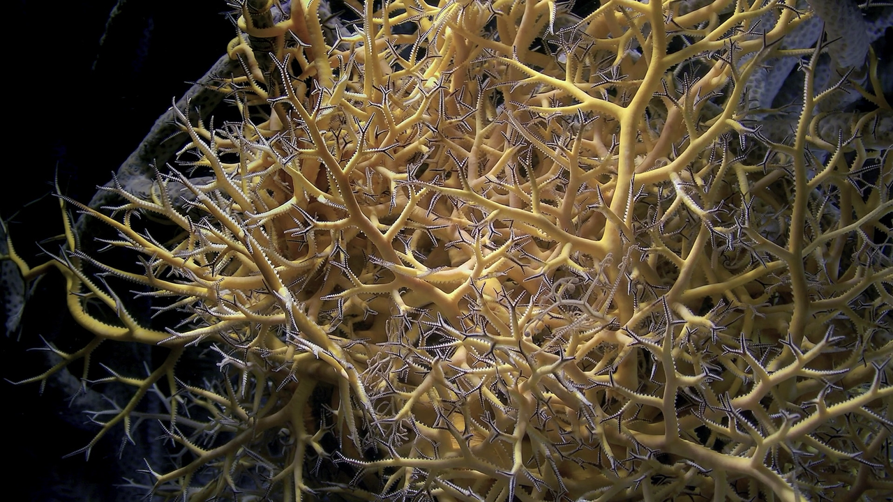 vlcsnap-2023-08-27-16h53m55s126