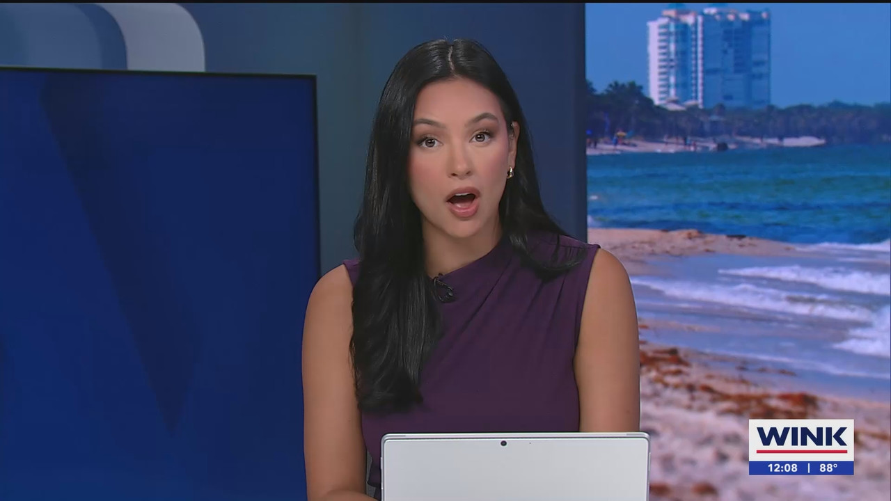 06.10 - 17.00.00 - The WINK Noon News  ᴺᵉʷ. Midday news update..ts_snapshot_14.11.084