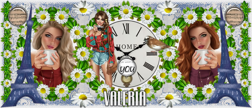 Parisian Daisies valeria