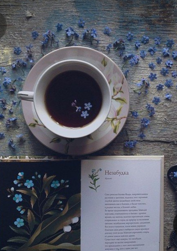 Screenshot_20230220_000736_Pinterest