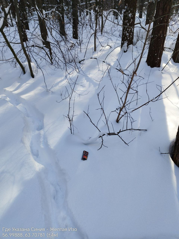 IMG 20260225 145749 260