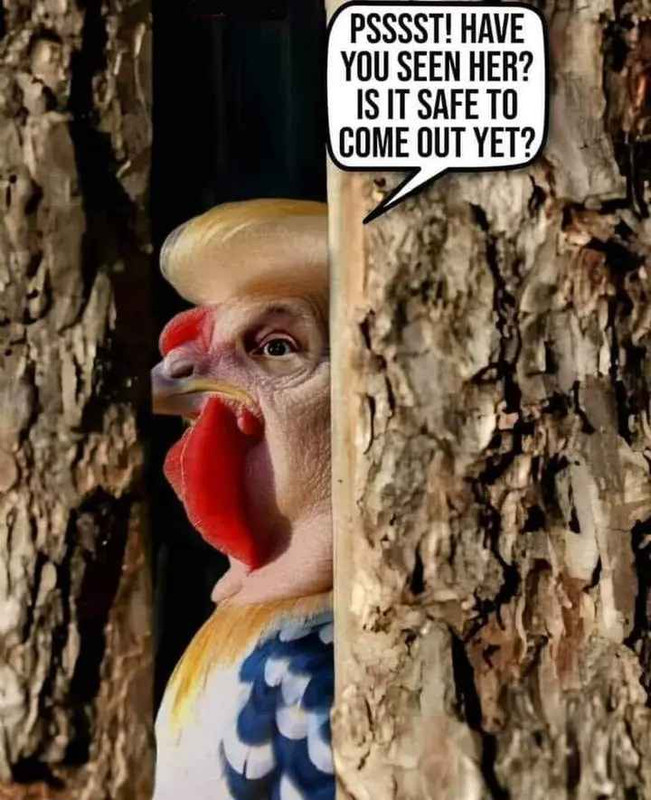 [Image: Psst.jpg]